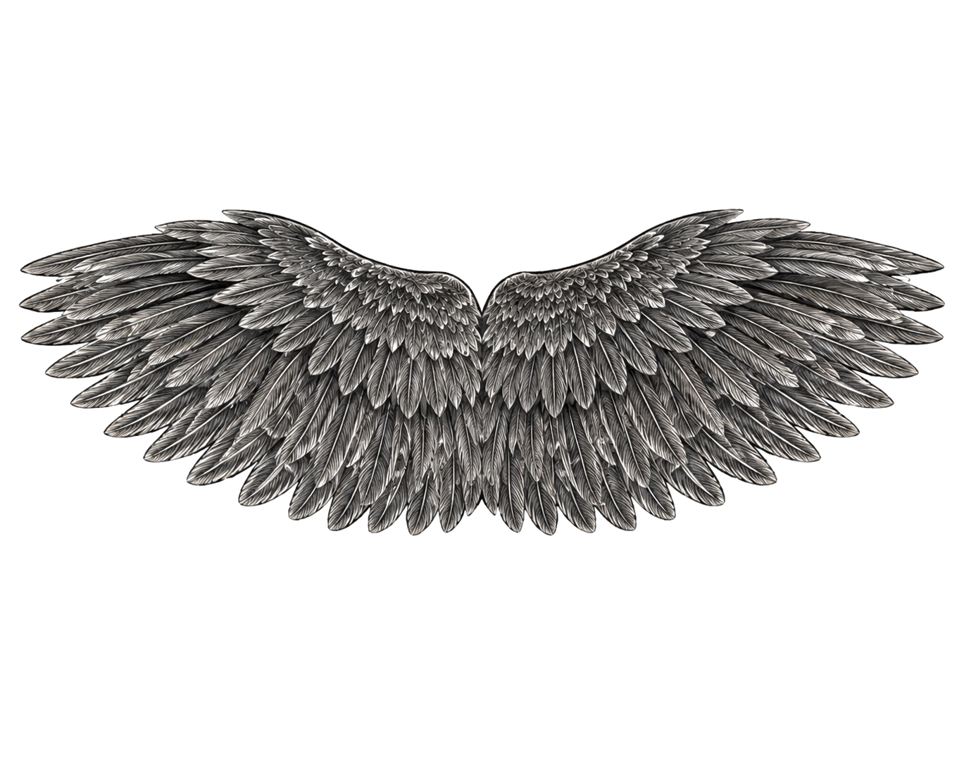Guardian wings